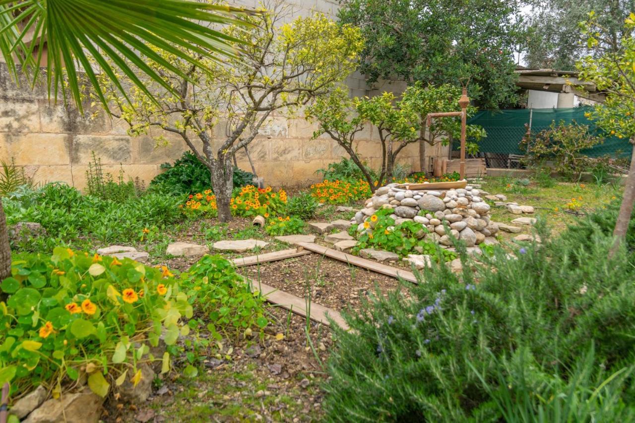Construcciones Balaguer Villa Mancor del Valle Exterior photo