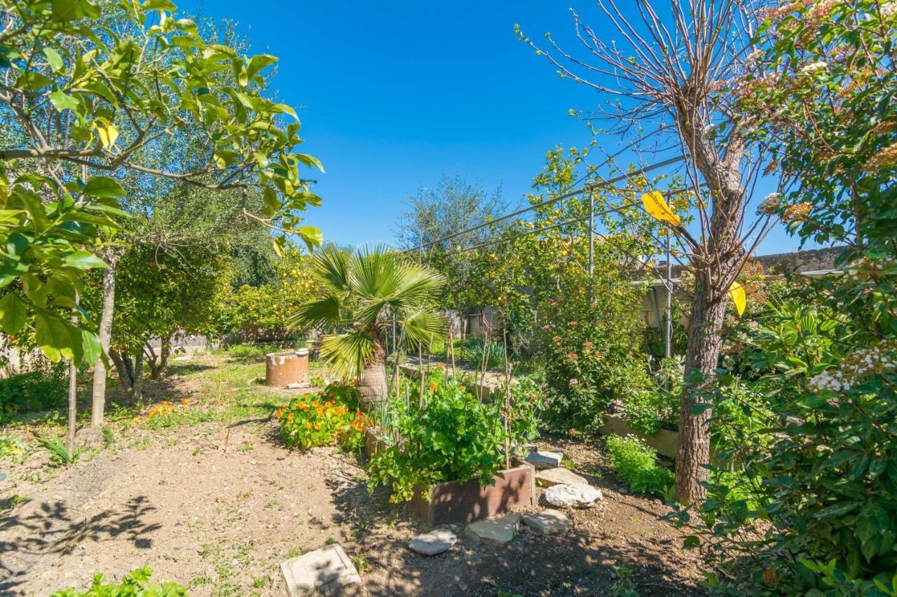 Construcciones Balaguer Villa Mancor del Valle Exterior photo